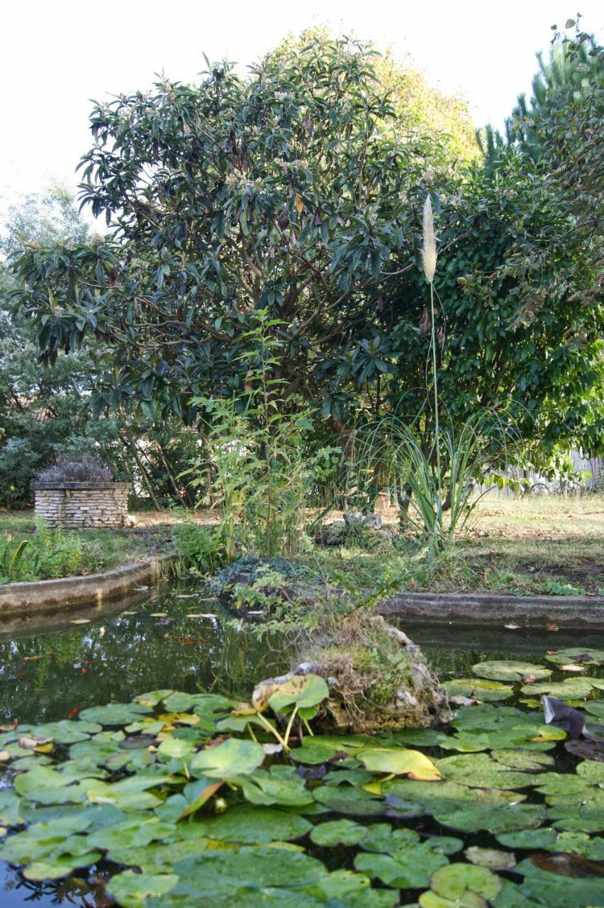 Le Grenier De Louisette Bed and Breakfast Libourne Exterior foto
