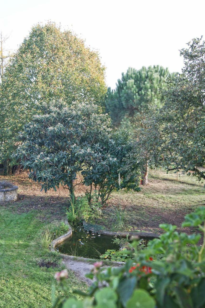 Le Grenier De Louisette Bed and Breakfast Libourne Exterior foto