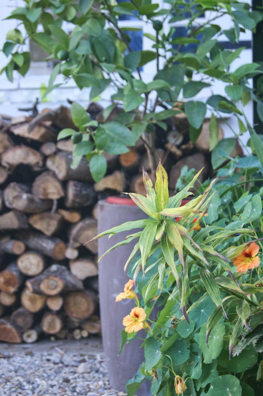 Le Grenier De Louisette Bed and Breakfast Libourne Exterior foto